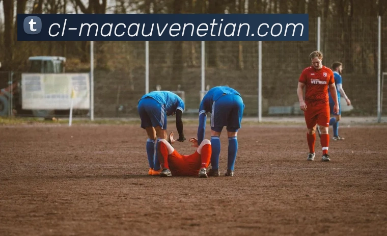 威尼斯人娱乐官网品牌故事