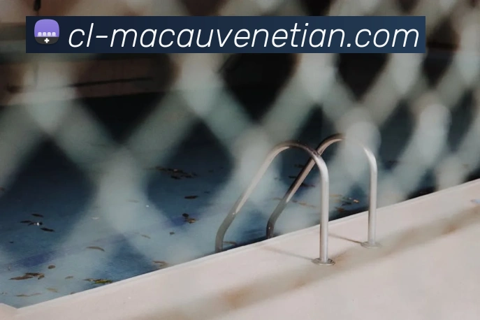 威尼斯人娱乐官网服务体系